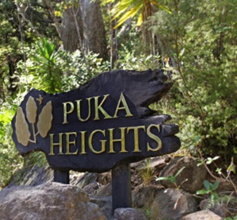 Puka Heights - Accommodation New Zealand 1