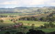 Pukeatua Farmstay - thumb 0