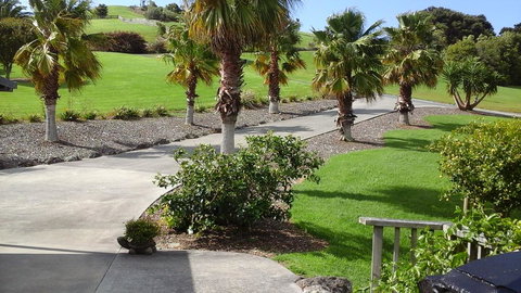 Pukeko Nest - Accommodation New Zealand 1