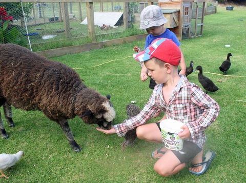 Pukenui Holiday Park - Accommodation New Zealand 2