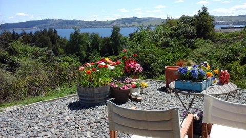 Pumice - Accommodation New Zealand 3
