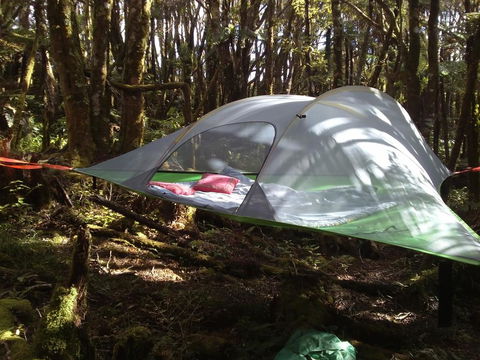 Pupu Rangi Nature Sanctuary - Accommodation New Zealand 2