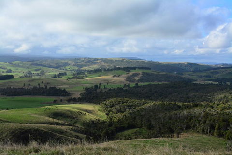Pupu Rangi Nature Sanctuary - Accommodation New Zealand 3