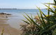 Pura Vida By The Sea - thumb 2