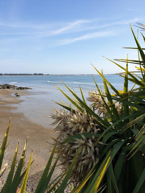 Pura Vida By The Sea - Accommodation New Zealand 2