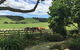 Quail Lodge NZ - thumb 2
