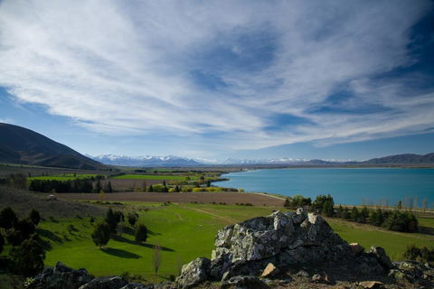 Quail Rest - Accommodation New Zealand 0