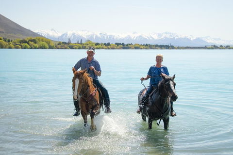 Quail Rest - Accommodation New Zealand 1