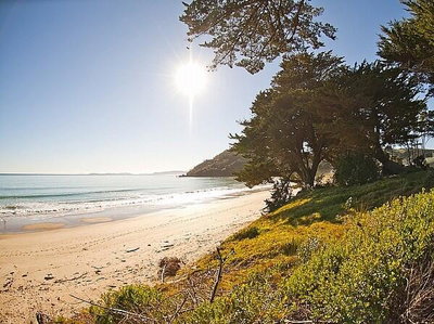 Quails Run - Kuaotunu Beachfront Holiday Home