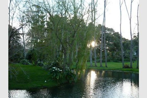 Quiet Waters - Accommodation New Zealand 1