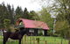 Raurimu Log Cabin - thumb 2