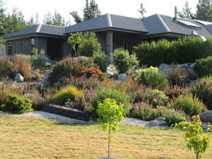 Redwood Valley B  B