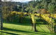 Rive Gauche B&B Lodge - thumb 2