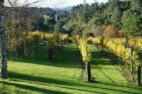 Rive Gauche B&B Lodge - Accommodation New Zealand 2