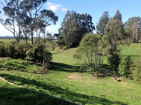 Rolling Hills Country Stay B&B - Accommodation New Zealand 0