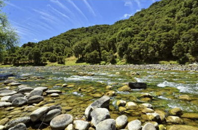 Ruakituri River House