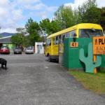 A Plus Backpackers Lodge