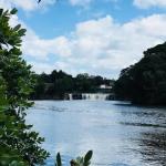 Haruru Falls Retreat
