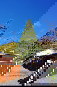 Sequoia Lodge  Backpackers