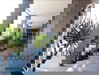 Auckland Phoenix Palm