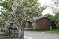 219 on Johns Motel  Holiday Park