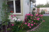 Rowan Cottage Organic B  B
