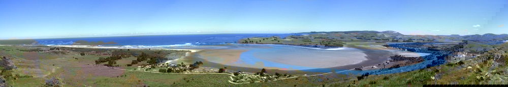 Catlins Newhaven Holiday Park