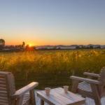 Kina Beach Vineyard Cottages