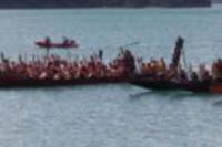 Waikare Cove