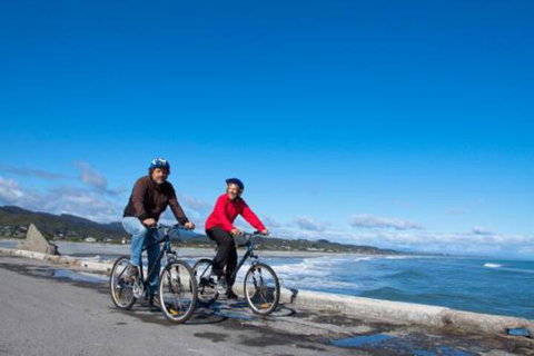 Gold Coast Nz Holiday Home - Accommodation New Zealand 3