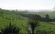 Matakohe Bed & Breakfast Petite Provence - thumb 3