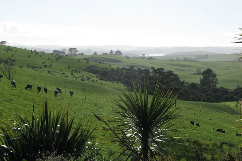 Matakohe Bed & Breakfast Petite Provence - Accommodation New Zealand 3