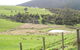 Matakohe Bed & Breakfast Petite Provence - thumb 2