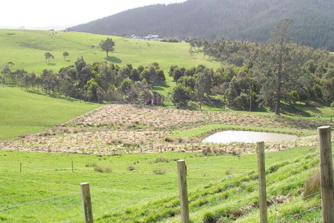 Matakohe Bed & Breakfast Petite Provence - Accommodation New Zealand 2