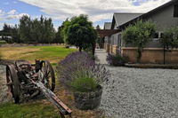 Vines on Bannockburn