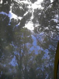 Pupu Rangi Nature Sanctuary