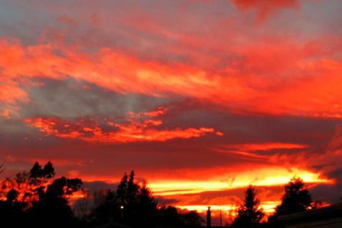 Motu Cottage - Accommodation New Zealand 7