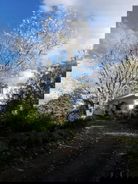 Purple Hen Backpackers