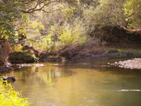 Orere Point TOP 10 Holiday Park
