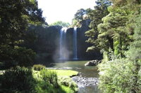 Whangarei Falls Holiday Park