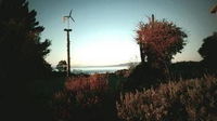 Wild Bay Retreat