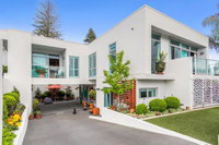 King Palm Studio Tauranga City Centre Studio