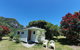 Punakaiki Beach Camp - thumb 4
