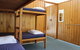 Punakaiki Beach Camp - thumb 2