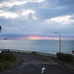 DOLLY KIWI ICONIC BACH in PRIME LOCATION
