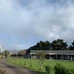Pokeno Traveller Accommodation
