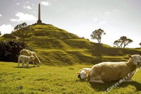 Wangwise Homestay Convair Park