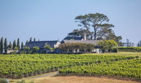 Takatu Lodge and Vineyard