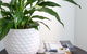 Sojourn Apartment Hotel - thumb 5